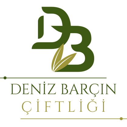 logo main
